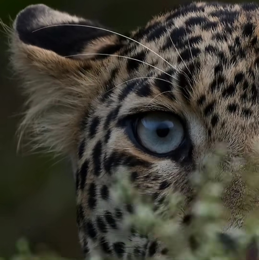 Meet your Posher, Catherine